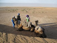 Erg Chigaga  Our camels await us, ever so patiently