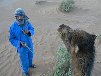 Erg Chigaga  Our guide stopped to let the camel eat some acacis