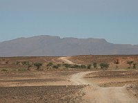 From desert to Marrakesh  The road runs on toward the hills