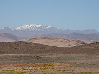 From desert to Marrakesh  And what colors, from the yellow-green foreground vegetation to the gray and white peaks of the Haut Atlas