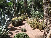 Marrakesh  Jardin Majorelle