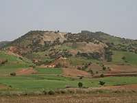 Marrakesh to Fez  Fields