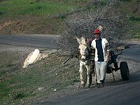 Marrakesh to Fez  Hauling sticks