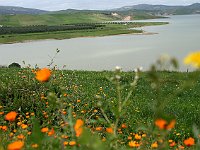 Fez to Volubilis  Lake on the drive from Fez to Volubilis