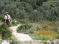 Volubilis  Siv at Volubilis