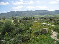 Volubilis  Path among the ruins