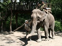 Chitwan National Park