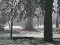 sj09 011211530 j  Les brumes de novembre.