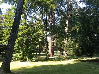 sj18 070809390 t c  En été, le soleil est de retour.