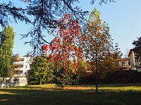 sj18 101810450 k  L'angle nord-ouest à l'automne.