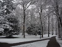 sj19 012310201 k  C'est beau l'hiver aussi.