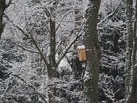 sj19 012310241 k  Un groupe d'amateurs d'oiseaux a installé plusieurs niches.