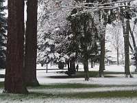 sj19 012310260 k  En janvier, on voit un peu de gazon à l'ombre des arbres.