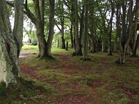 Clava Cairns  Scottish HIghlands, August 2004