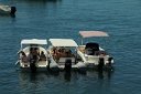 si13 052611300 j  An aquatic social gathering