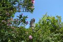 si13 052711510 s  Funny stone pillar