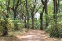 Lake Manyara National Park