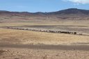 Drive to Serengeti