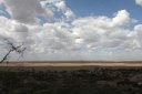 Shadows across the grassland savanna of the eastern Serengeti