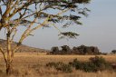 Serengeti National Park