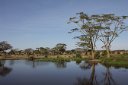 Nice pond, with crocodile