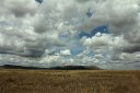 Grass and hills and enormous sky