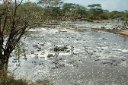 Retima hippo pool. Fortunately, the picnic site was upwind from it that day.
