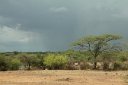 Rain coming. And it did!