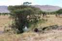 A small stream
