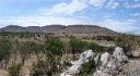 Lobo landscape