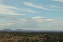Lobo plain, seen from the pool