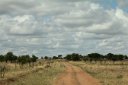 How big the sky seems over flat countryside,