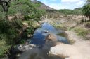 Pretty river with Egyptian goose and crocodile -- You do see the crocodile?
