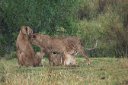 Intimate group
