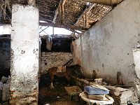 Tire  Stable in the han