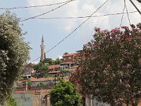 Tire  Oleander and minaret