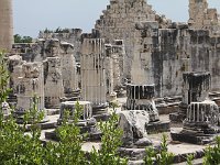 Didyma  This must have once resembled the temple at Karnak (Egypt), but all that remains now is a truncated forest of stumps