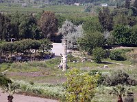 Basilica of St Jean, Selçuk  All that remains of the temple is this lone column -- with resident stork family!