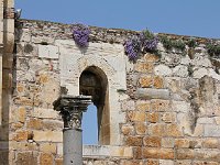Isa Bey Camii, Selçuk  Bluebells hanging on the mosque wall