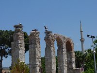 Selçuk  The stork on ... top on the right seems to be ... amorous