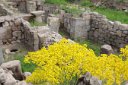 Cappadocia  Yellows amid old stones