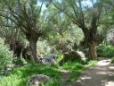 Cappadocia  River, path and rocks