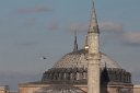 tk12 052618180 j  Bird and dome of Sultanahmet Camii
