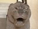 tk12 052711540 s  Lion, also late Hittite