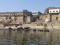 Mahanivani and Shivala Ghats