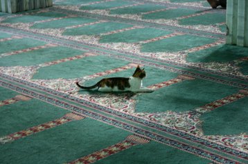 La Mosquée Sayyidna el-Hussein