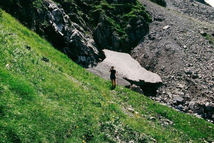 br95_fluralp_02.jpg - We didn't go all the way, because of ice...