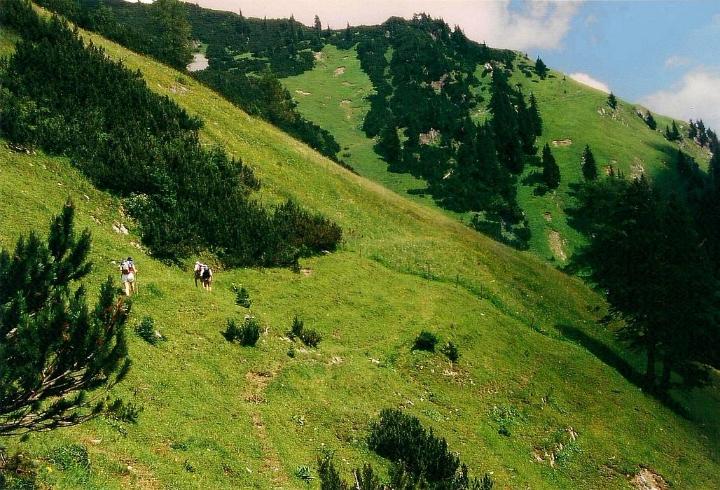 br95_oberbrueggl_03.jpg - For once, we walked up beyond the Obere-Brüggele Alp.