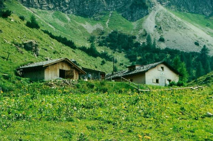 br95_sarotlatal_02.jpg - The Sarotla-Hütte, at 1611m.