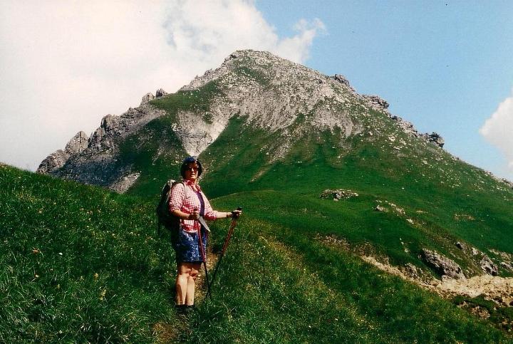 br95_sudschaffgafall_01.jpg - We climbed from the Lünersee up to the Süd-Schafgafall (2414 m)